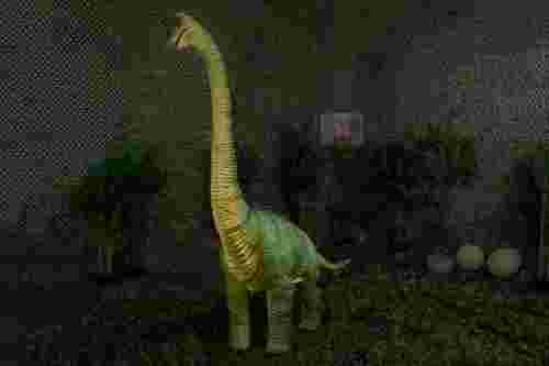 Baby Brachiosaurus Prop