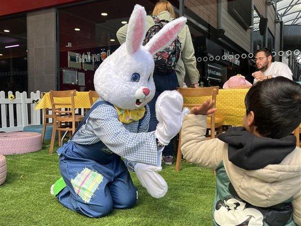 Easter Bunny Odin Events