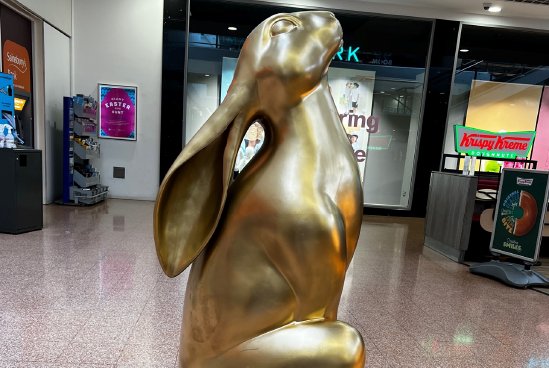 Shopping Centre Trail Odin Events