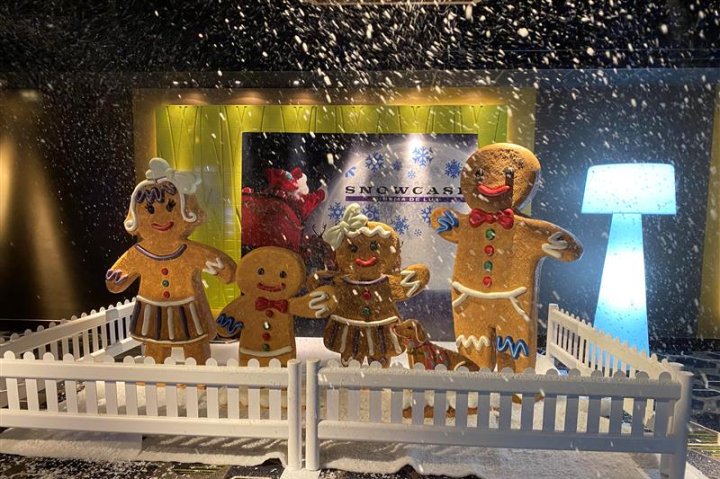 How Realistic Does the Snow of Our Snow Machine Rental Look?