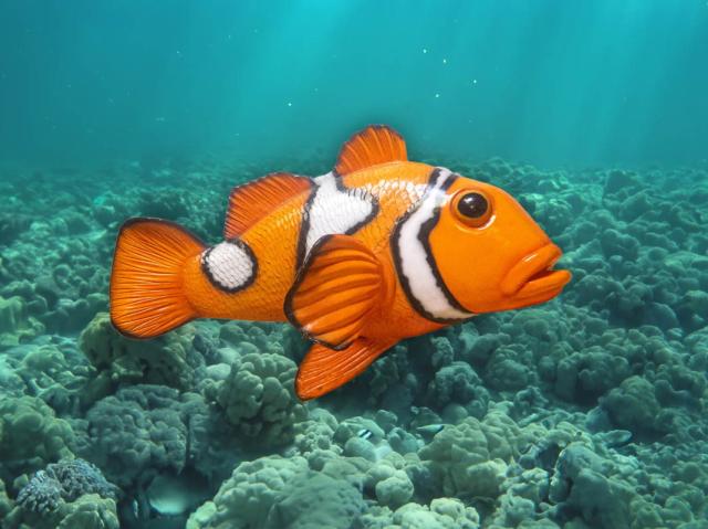 Clown Fish Prop, Odin Events