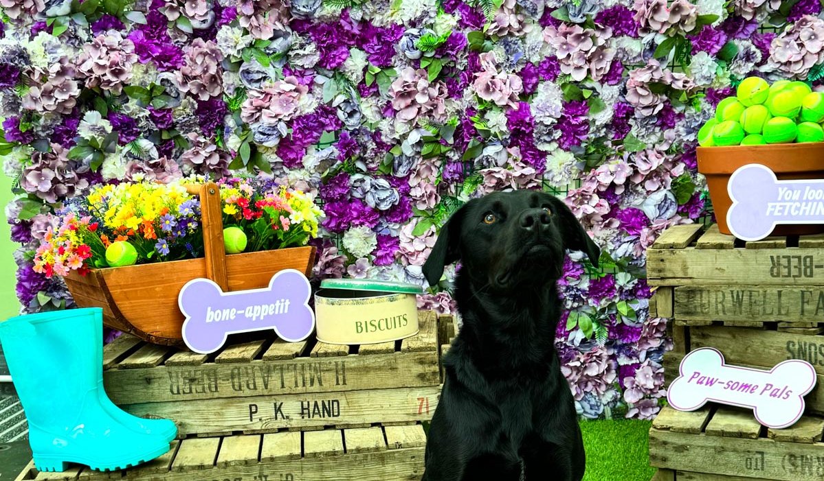 Paws and Applause: Celebrating National Dog Day in UK Shopping Centres