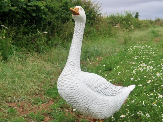 Goose Prop, Odin Events