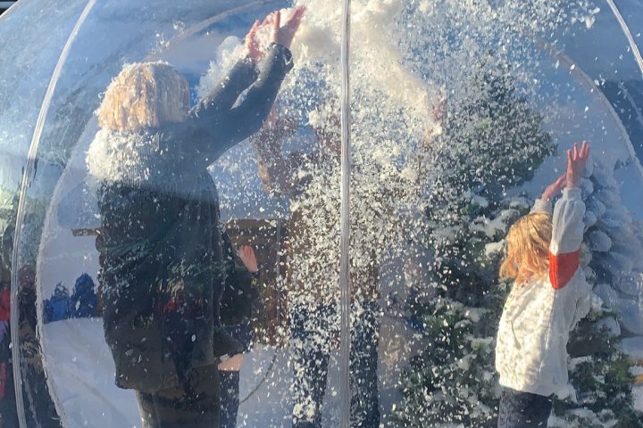 What is the Fake Snow Used in Our Snow Globe Displays?