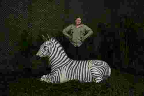 Zebra prop, odin events